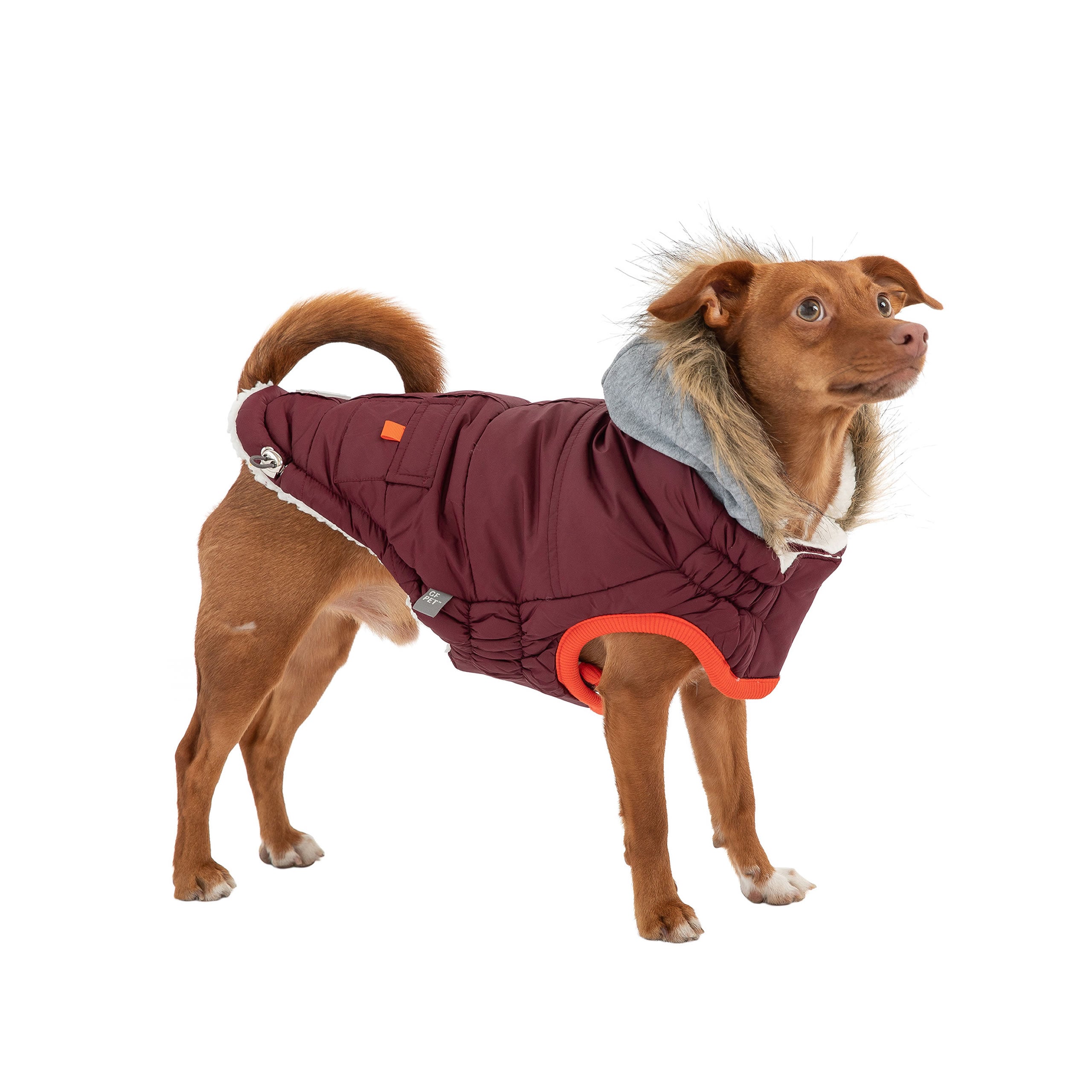 Winter Sailor Parka for Dogs — Burgundy | Premium Warm Coat with Sherpa Lining & Faux Fur Hood | Furry Home