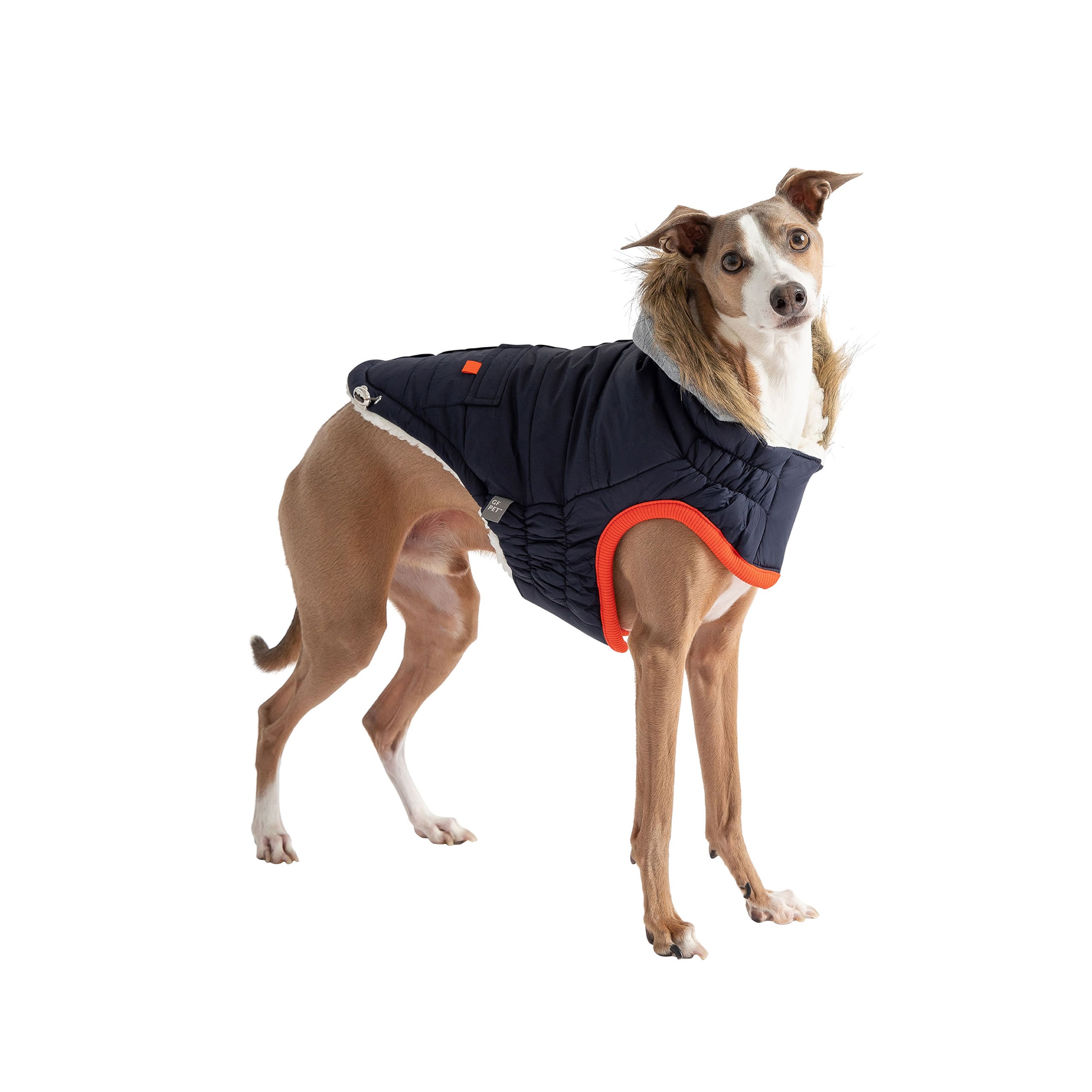 Winter Sailor Parka for Dogs — Navy | Premium Warm Coat with Sherpa Lining & Faux Fur Hood | Furry Home