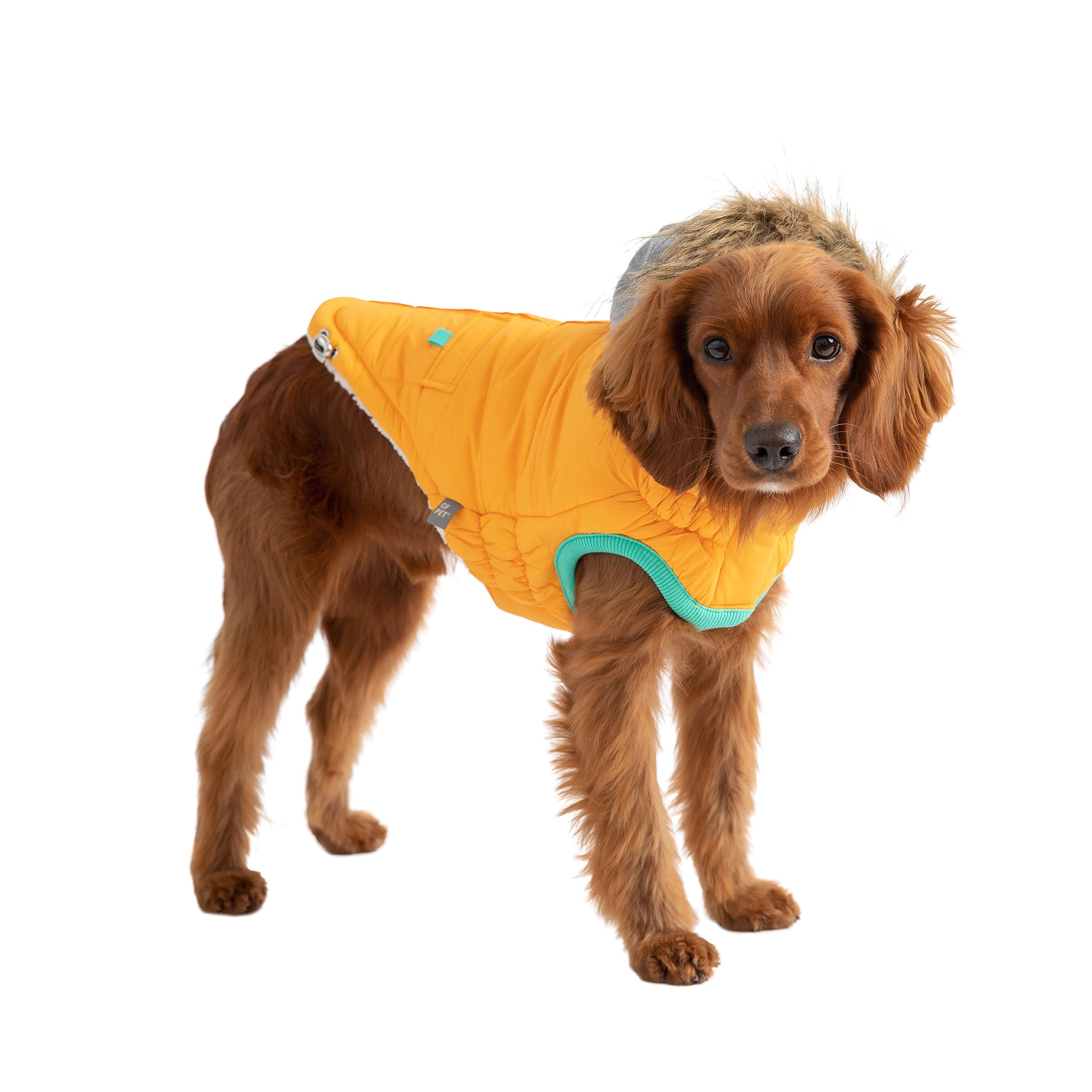 Winter Sailor Parka for Dogs — Yellow | Warm, Waterproof & Sherpa-Lined | Furry Home