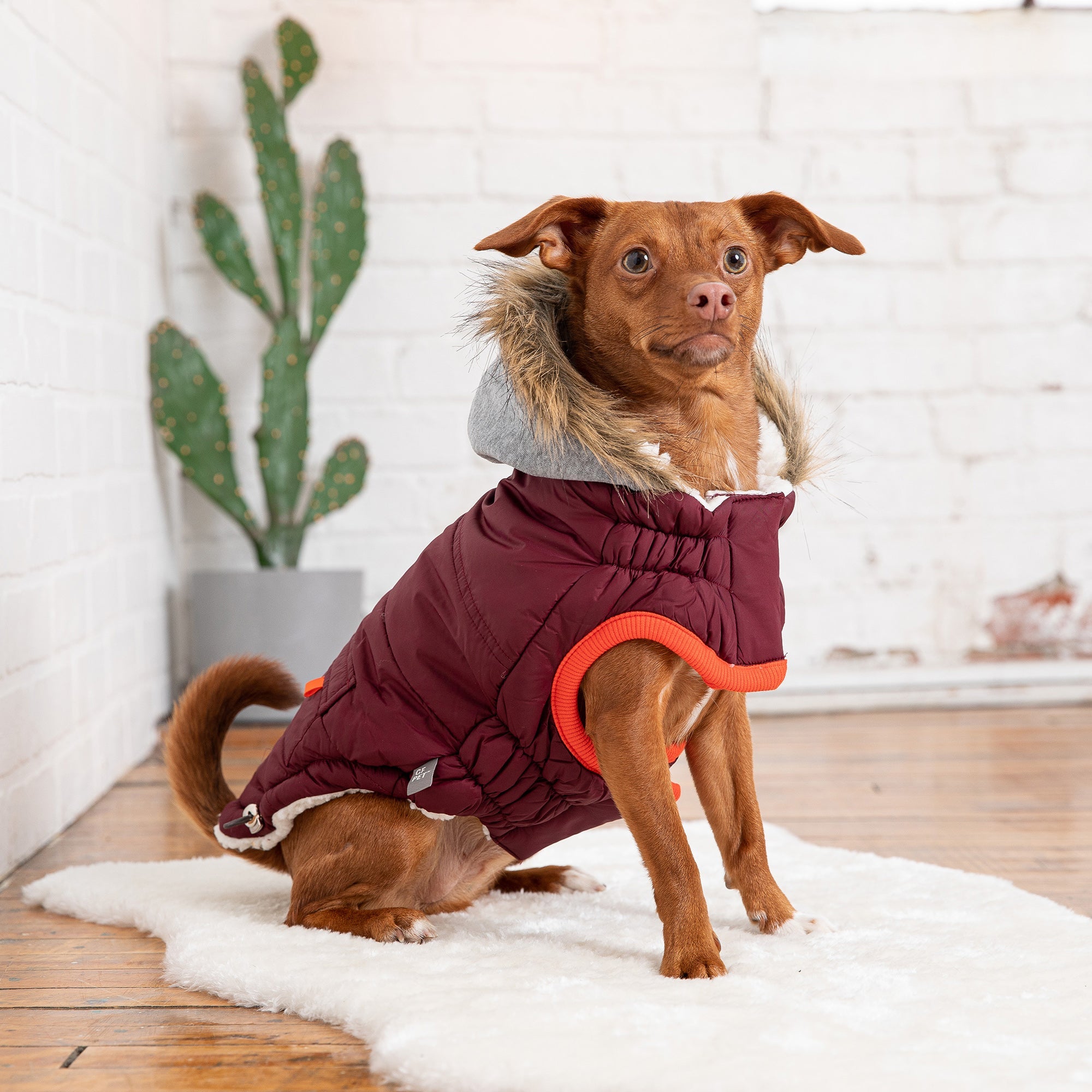 Winter Sailor Parka for Dogs — Burgundy | Premium Warm Coat with Sherpa Lining & Faux Fur Hood | Furry Home