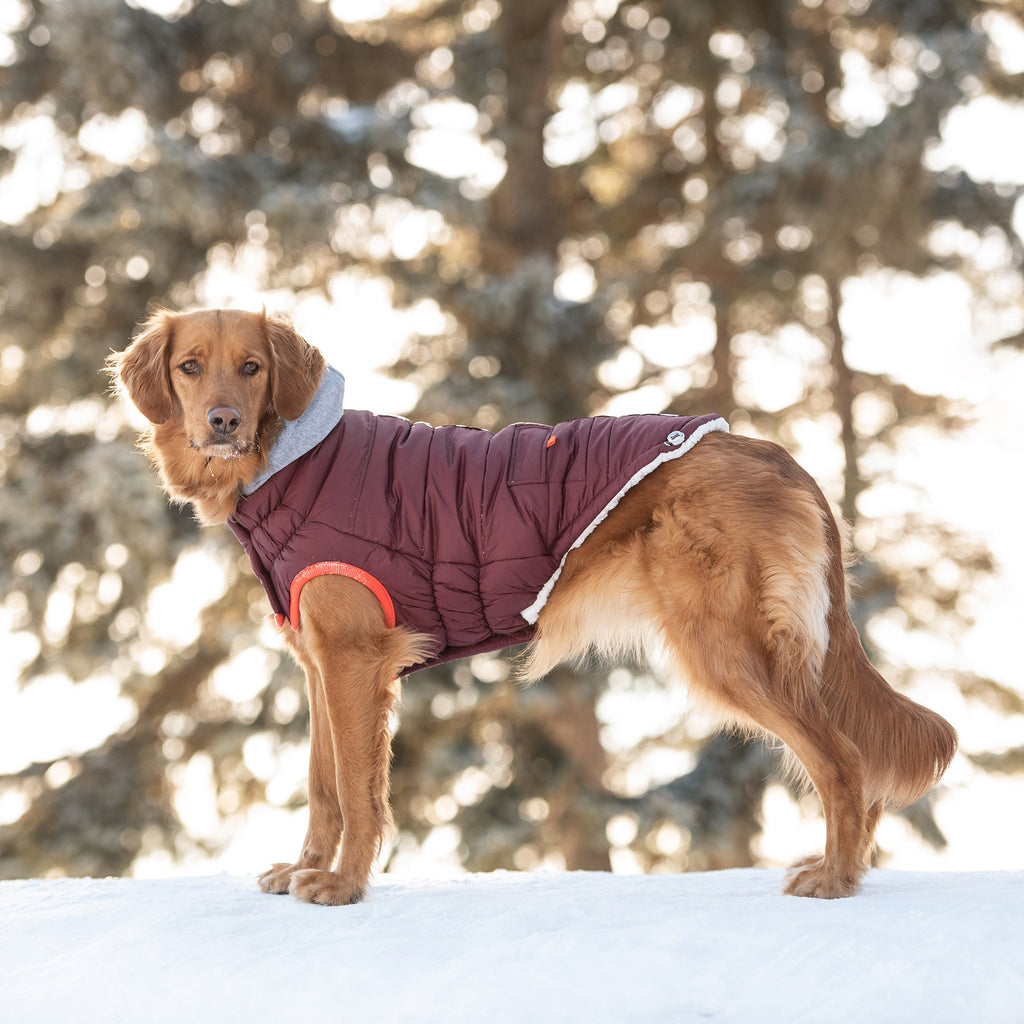 Winter Sailor Parka for Dogs — Burgundy | Premium Warm Coat with Sherpa Lining & Faux Fur Hood | Furry Home