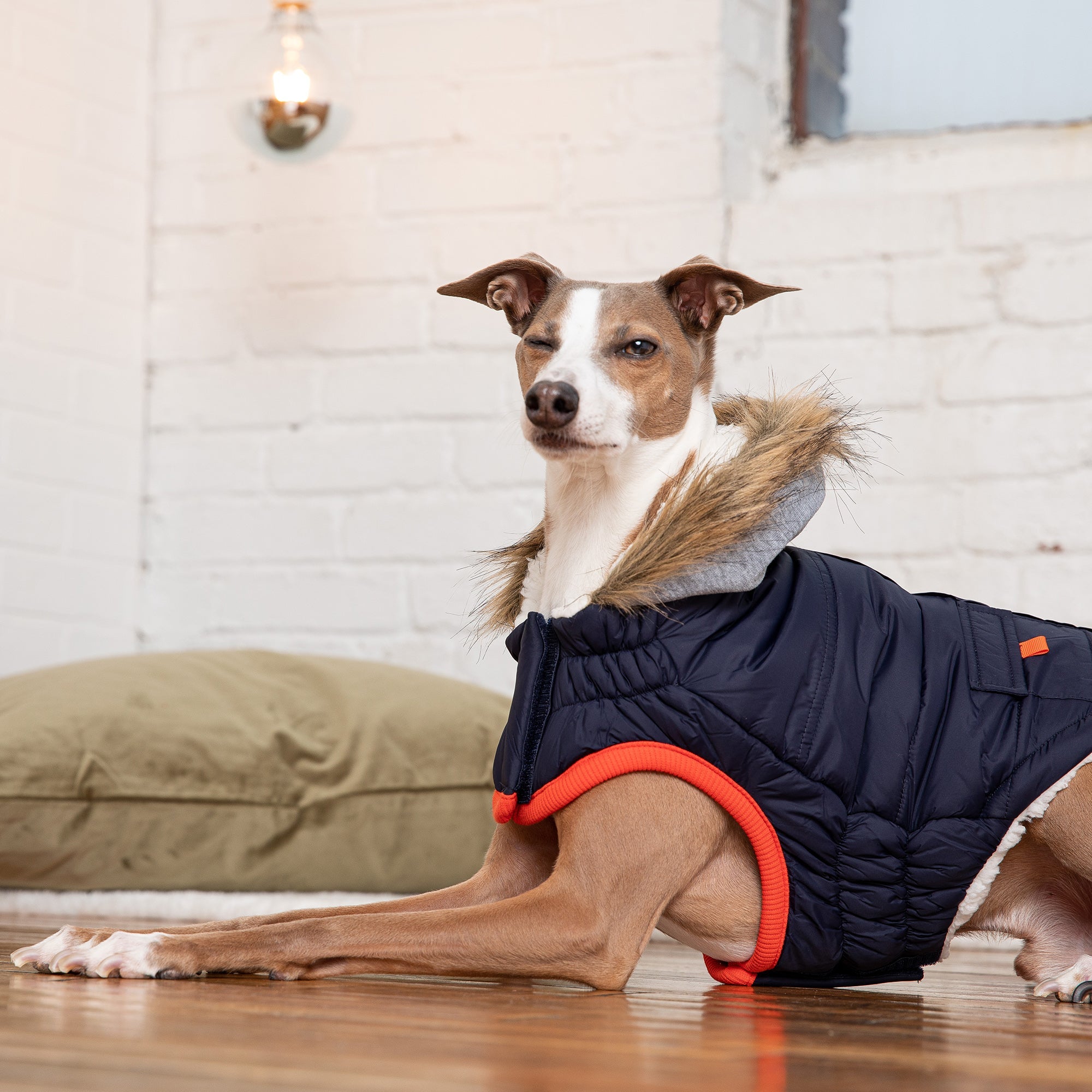 Winter Sailor Parka for Dogs — Navy | Premium Warm Coat with Sherpa Lining & Faux Fur Hood | Furry Home