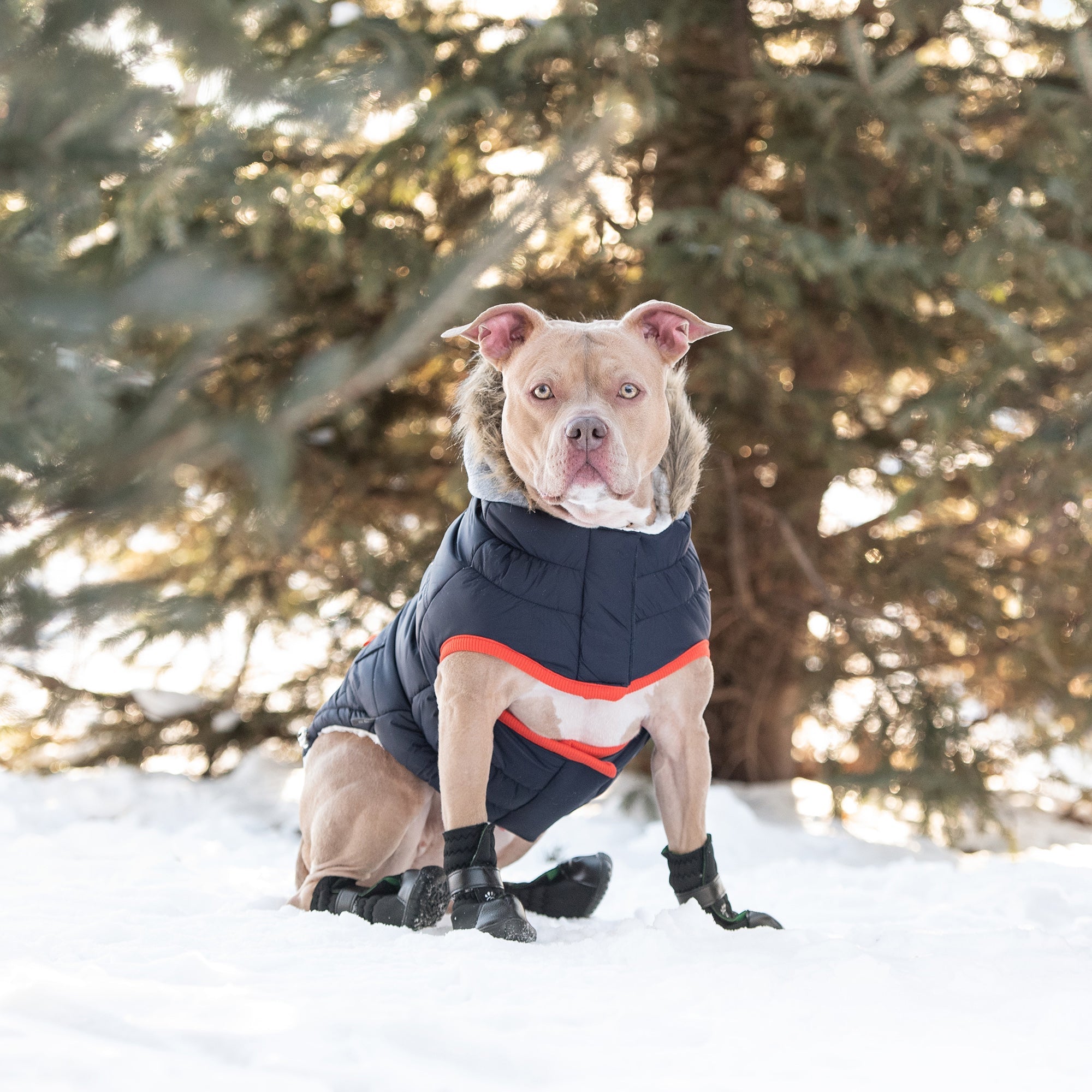 Winter Sailor Parka for Dogs — Navy | Premium Warm Coat with Sherpa Lining & Faux Fur Hood | Furry Home