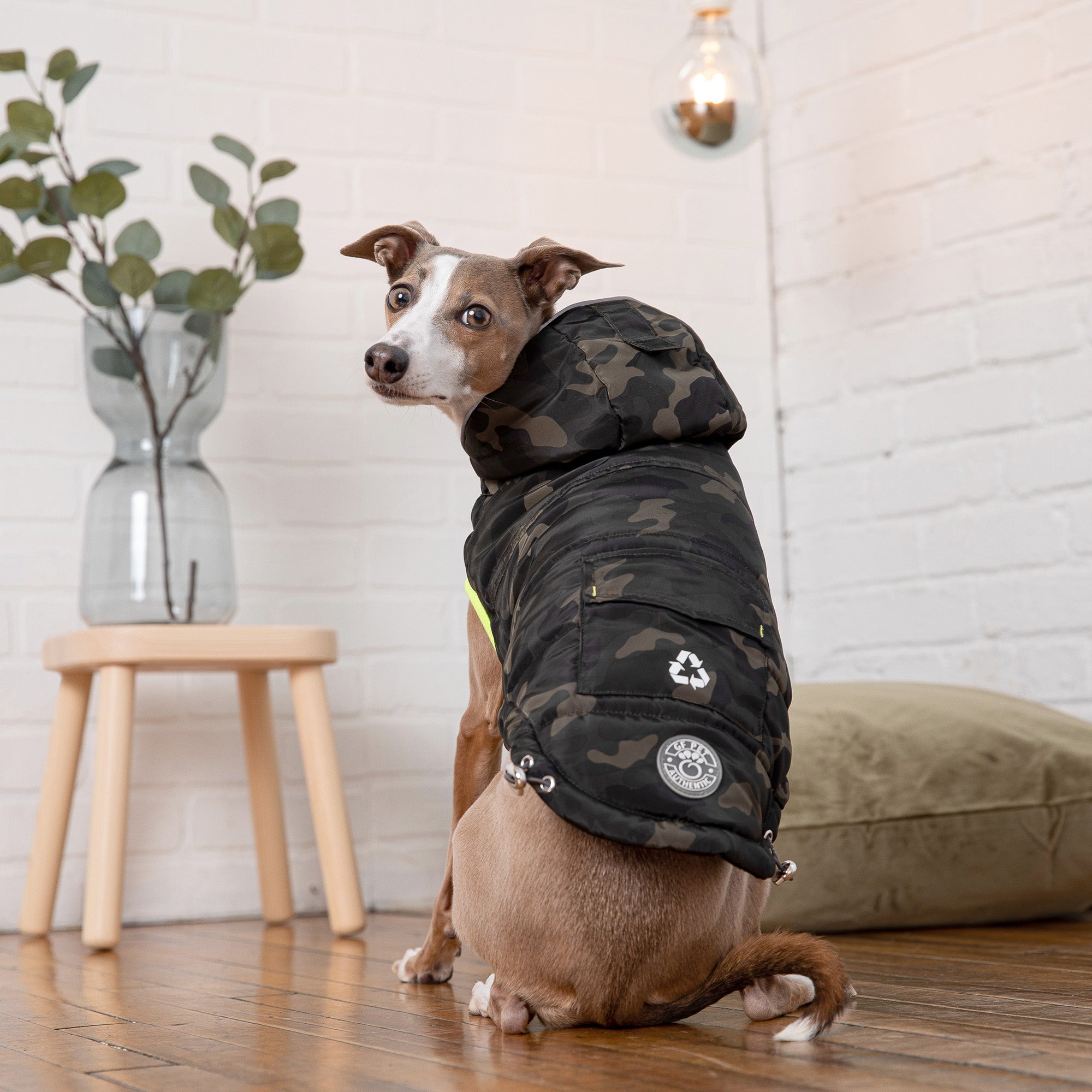 Recycled Eco Parka for Dogs — Camouflage | Made from Recycled Plastic Bottles | Water Repellent | Furry Home
