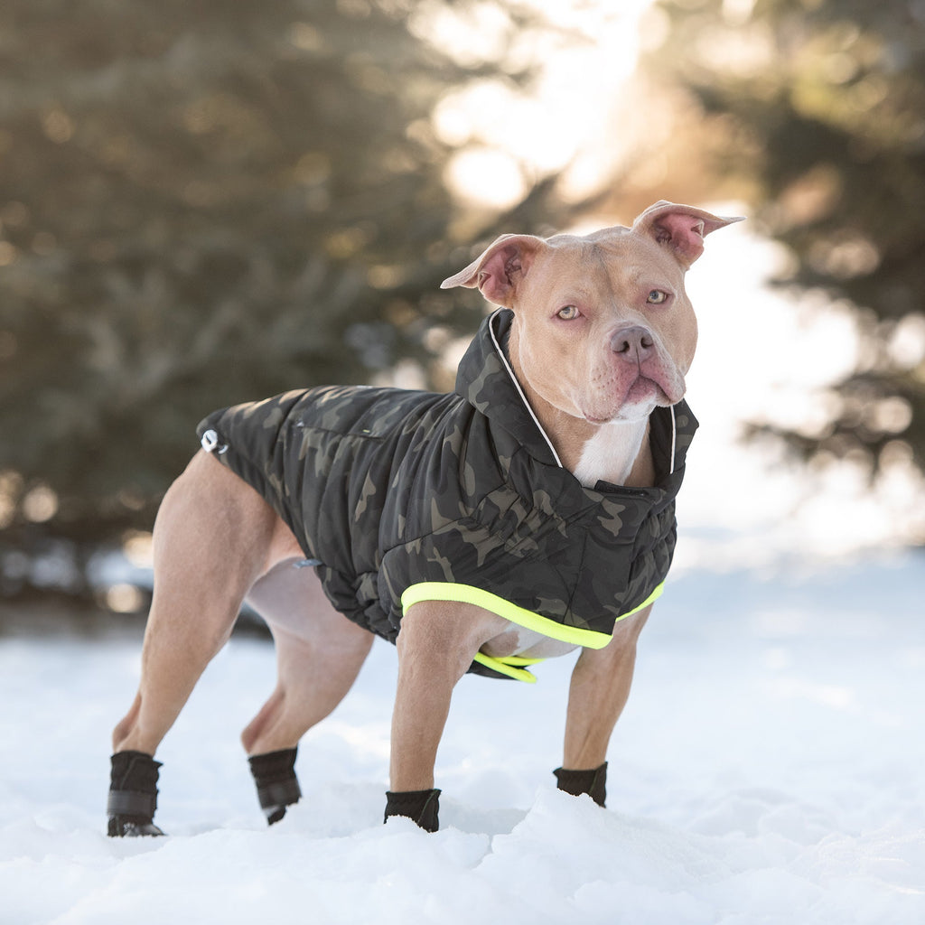 Recycled Eco Parka for Dogs — Camouflage | Made from Recycled Plastic Bottles | Water Repellent | Furry Home