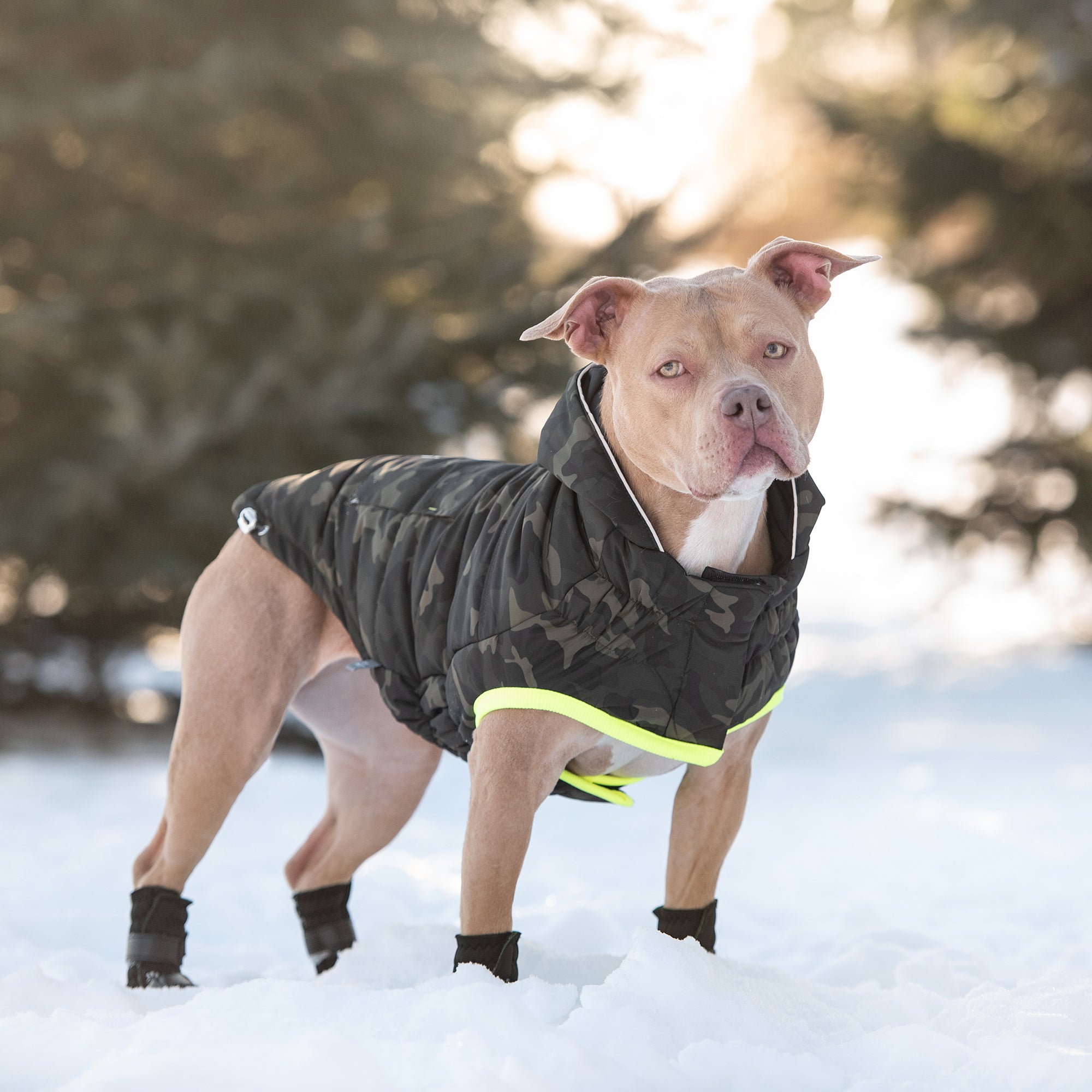 Recycled Eco Parka for Dogs — Camouflage | Made from Recycled Plastic Bottles | Water Repellent | Furry Home