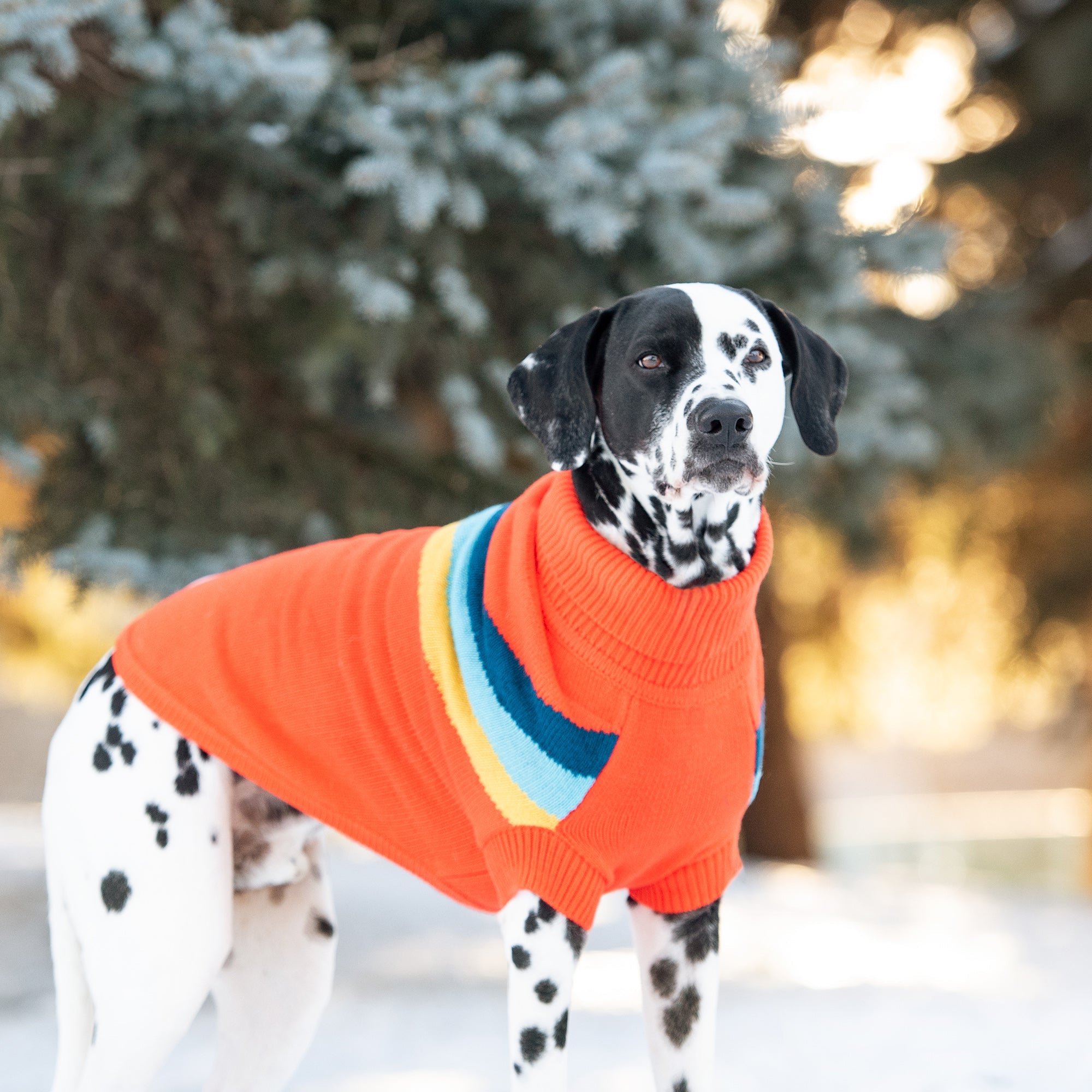 Alpine Turtleneck Sweater for Dogs — Orange | Retro Chevron Knit | Furry Home