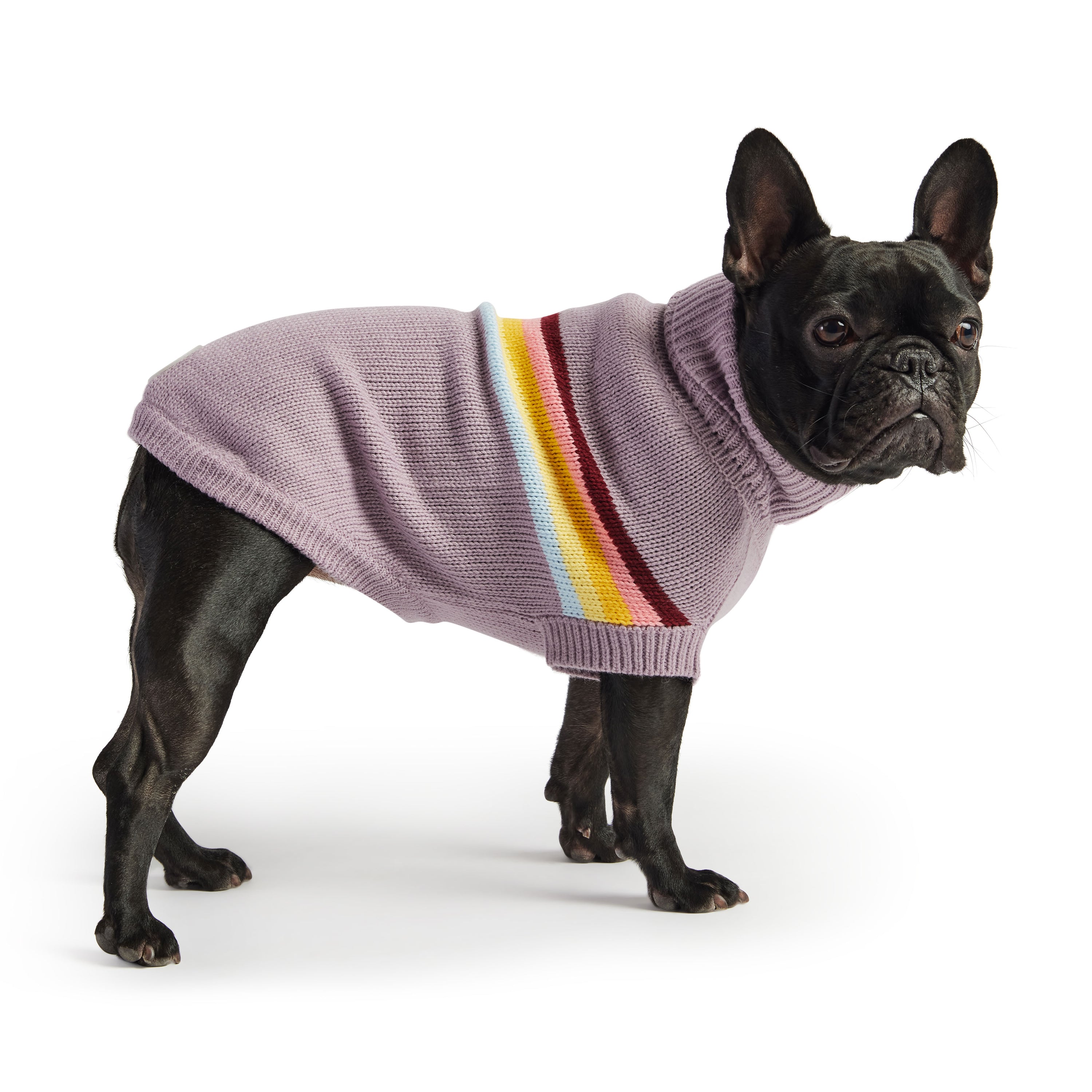 Retro Knit Dog Sweater — Cosy, Stylish & Snug | Turtleneck Pet Jumper | Furry Home