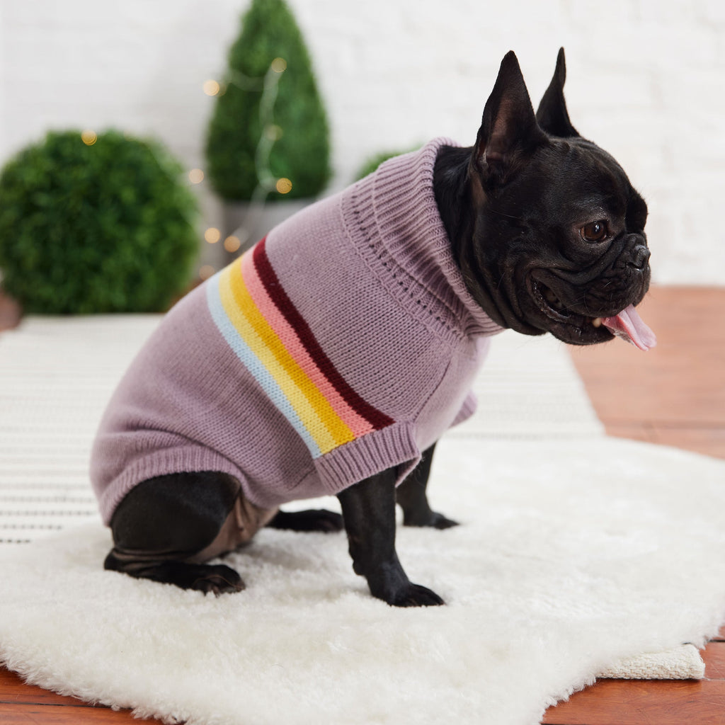 Retro Knit Dog Sweater — Cosy, Stylish & Snug | Turtleneck Pet Jumper | Furry Home