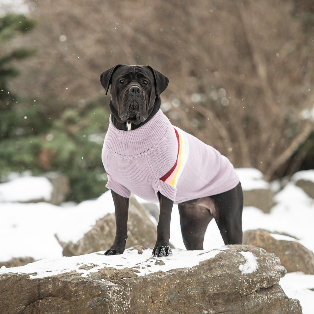 Retro Knit Dog Sweater — Cosy, Stylish & Snug | Turtleneck Pet Jumper | Furry Home