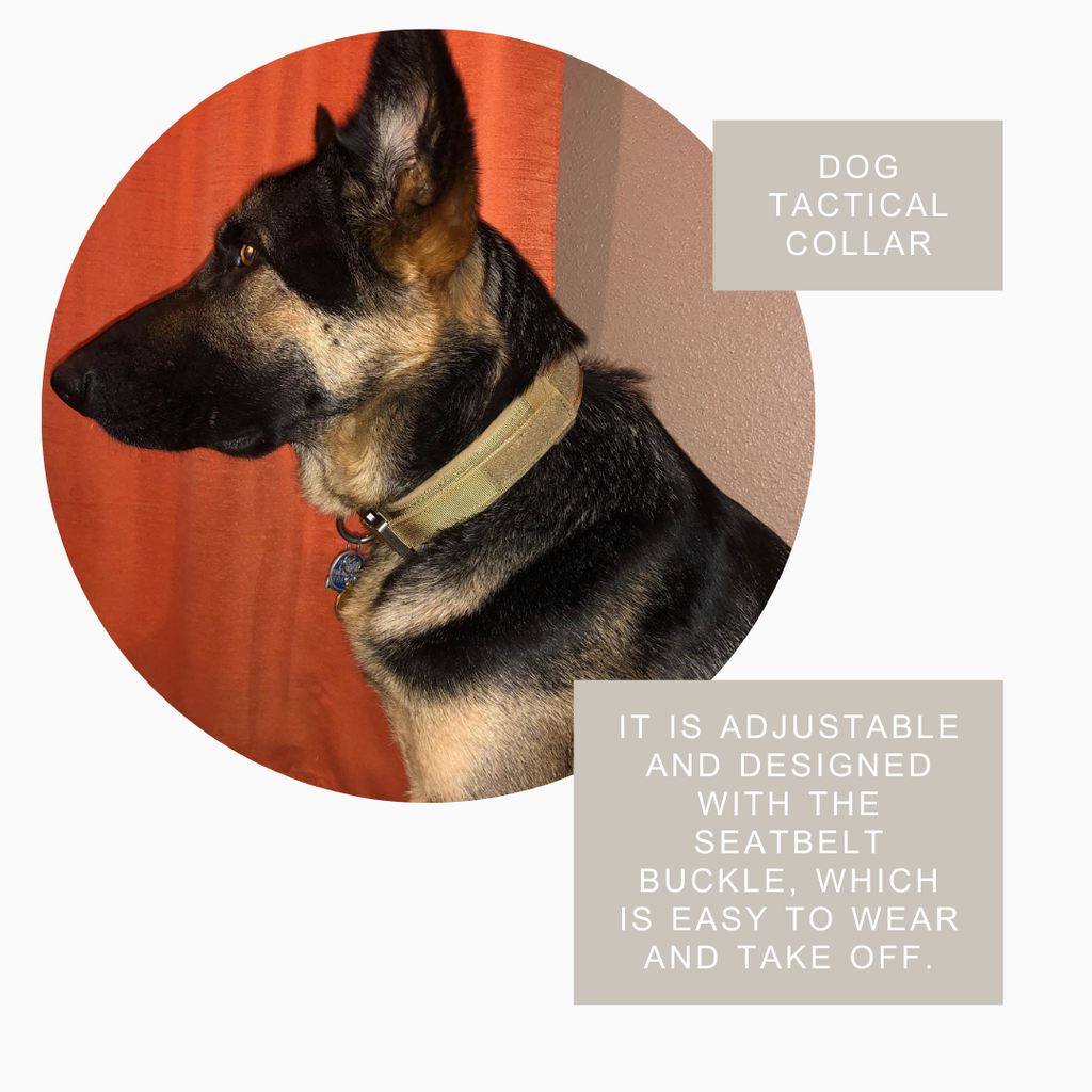 TactiBold Military Dog Collar — Heavy-Duty Nylon with Control Handle & Double Lock Buckle | Furry Home