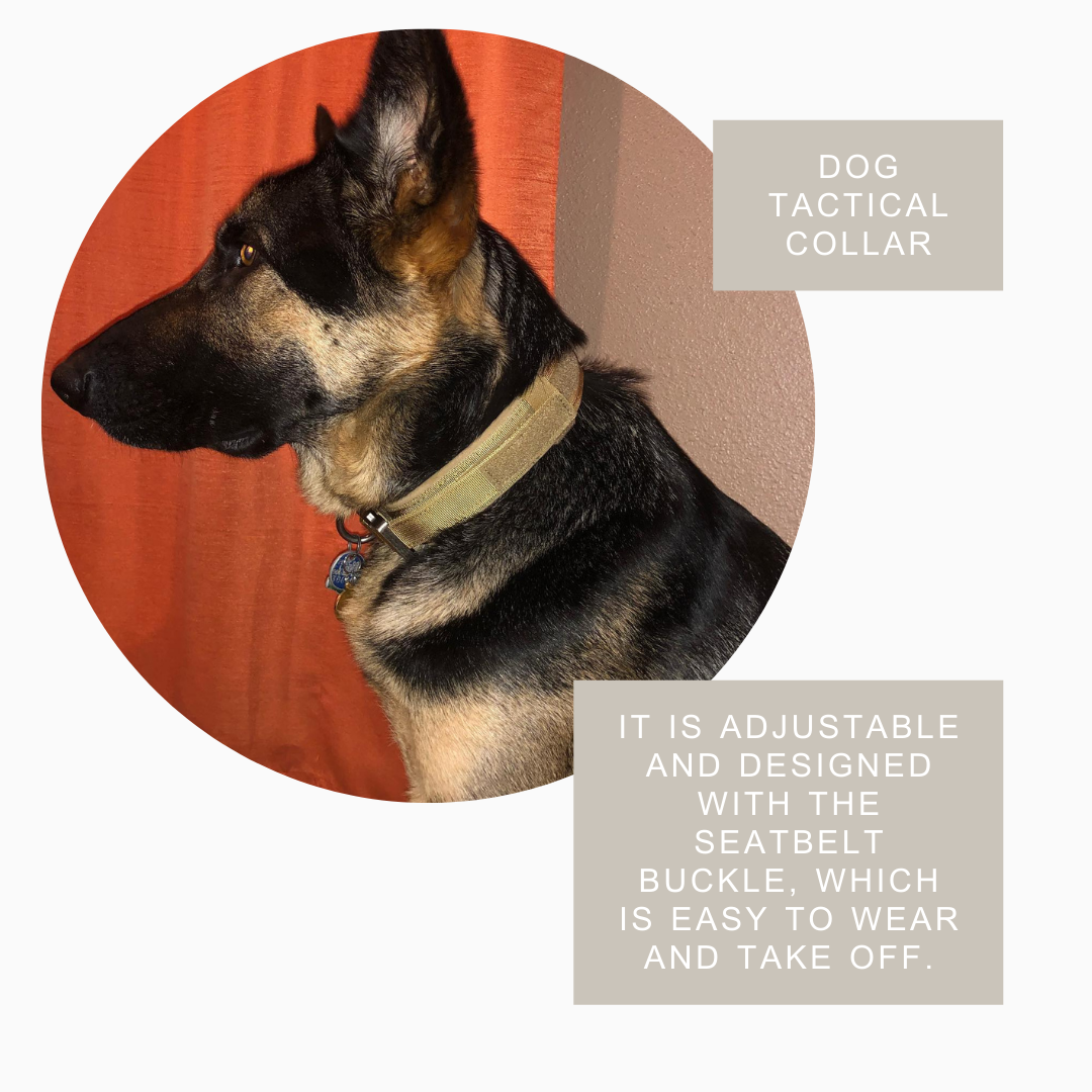 TactiBold Military Dog Collar — Heavy-Duty Nylon with Control Handle & Double Lock Buckle | Furry Home