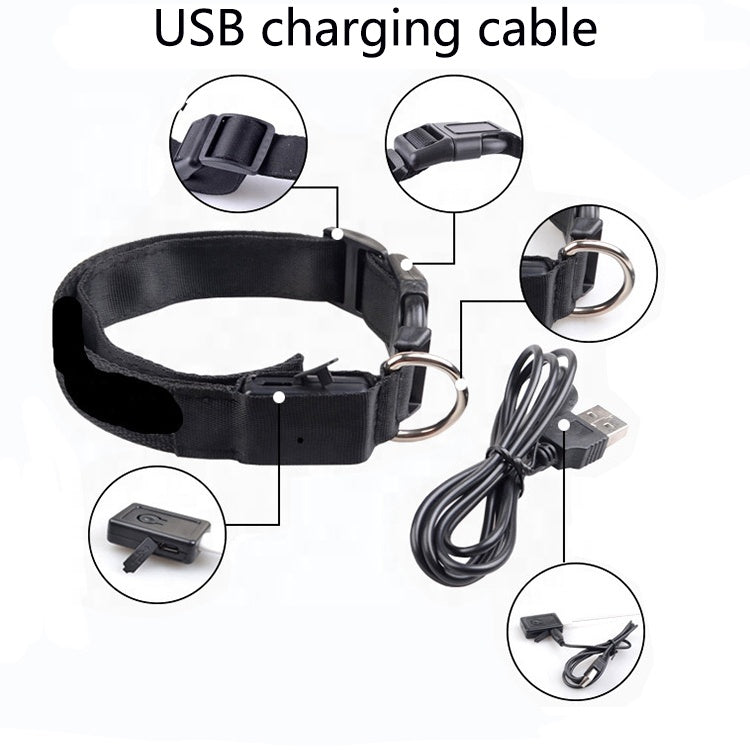 Glow Night Dog Collar — USB Rechargeable LED Safety Collar for Night Walks | Furry Home