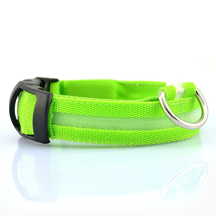 Glow Night Dog Collar — USB Rechargeable LED Safety Collar for Night Walks | Furry Home