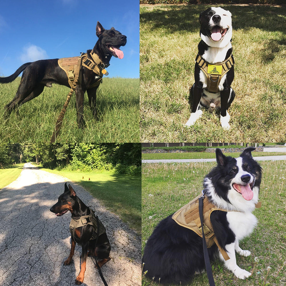 Furry Home Military Tactical Dog Harness & Leash Set
