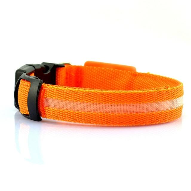 Glow Night Dog Collar — USB Rechargeable LED Safety Collar for Night Walks | Furry Home
