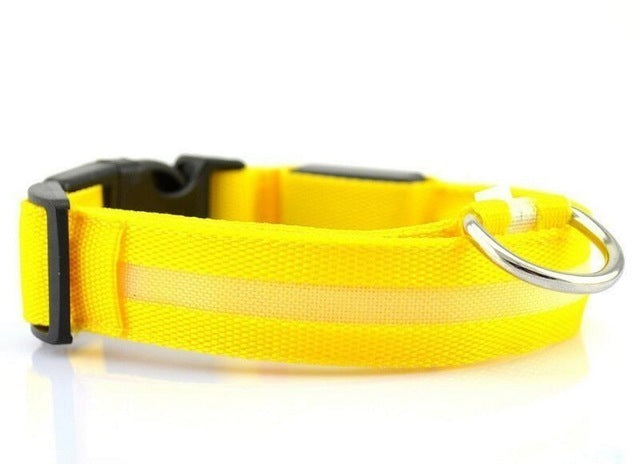 Glow Night Dog Collar — USB Rechargeable LED Safety Collar for Night Walks | Furry Home