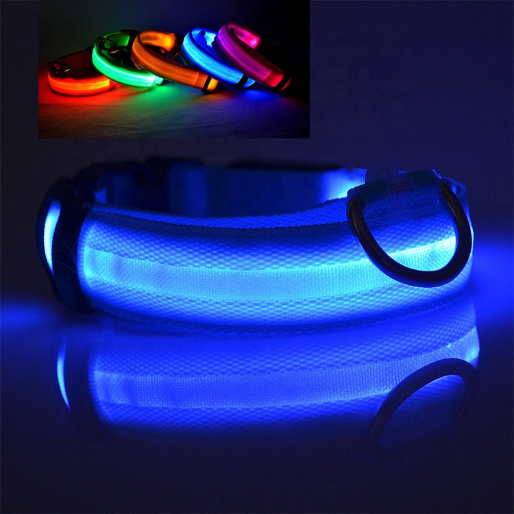 Glow Night Dog Collar — USB Rechargeable LED Safety Collar for Night Walks | Furry Home