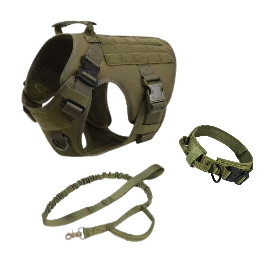 TactiBold 3-in-1 Dog Gear Set — Tactical Harness, Collar & Leash for Training & Adventures | Furry Home