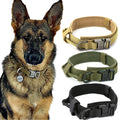 TactiBold Military Dog Collar — Heavy-Duty Nylon with Control Handle & Double Lock Buckle | Furry Home